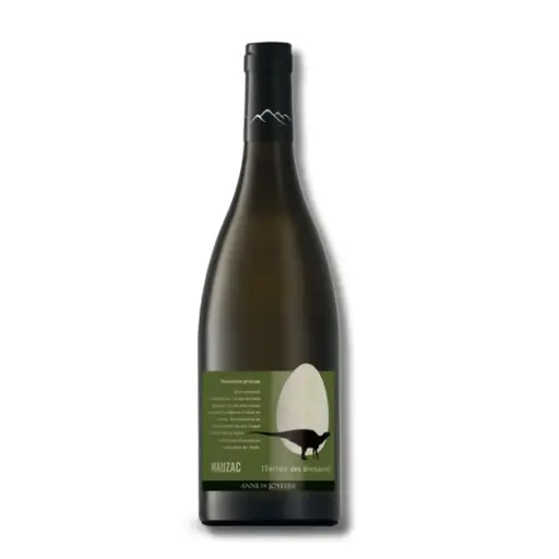 [990924] Joyeuse, Dino Rhabdodon Priscus Mauzac