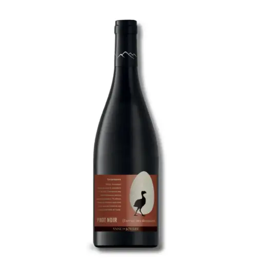 [990926] Joyeuse, Dino Gargantuavis Pinot Noir